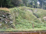 2010_11080016.JPG