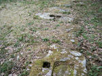 2010_11080023.JPG