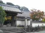 2010_11080032.JPG