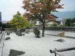 2010_11080043.JPG
