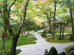 2010_11080038.JPG