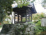 2010_11080048.JPG