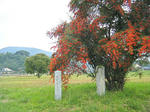 2010_11080066.JPG
