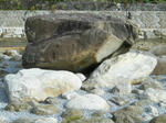 2010_11140005.JPG