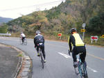 2010_11280007.JPG