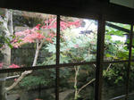 2010_11280039.JPG