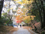 2010_11280060.JPG