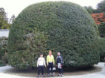 2010_11280064.JPG
