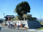 2010_12050054.JPG