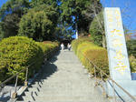 2010_12050072.JPG