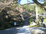 2010_12050086.JPG