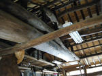 2011_01160052.JPG