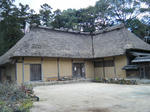 2011_01160076.JPG