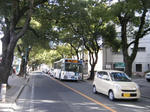 2011_01160084.JPG