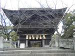 2011_01160089.JPG