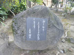 2011_01260051.JPG
