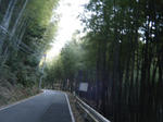 2011_01260099.JPG
