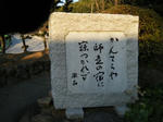 2011_01260140.JPG