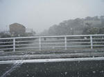 2011_01300009.JPG