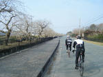 2011_02060098.JPG