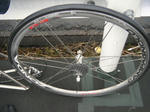 2011_02110006.JPG