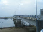 2011_02110018.JPG