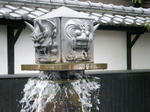 2011_02110060.JPG