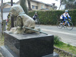 2011_02270089.JPG