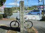 2011_03020030.JPG