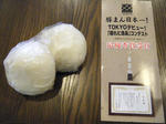 2011_03090023.JPG