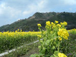 2011_03090033.JPG