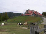 PA1249.JPG