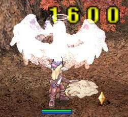 ass2.jpg
