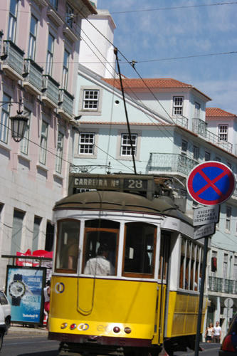 IMGP0050.jpg