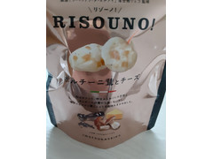 岩塚製菓 リゾーノ ポルチーニ茸とチーズ