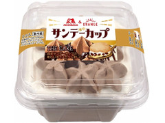 オランジェ THE CAKE 森永サンデーカップ