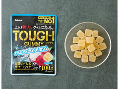 カバヤ タフグミ ソルティライチ