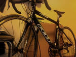felt_z35