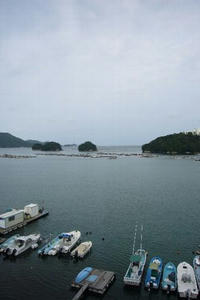 toba.JPG