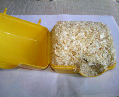 P1000029.JPG