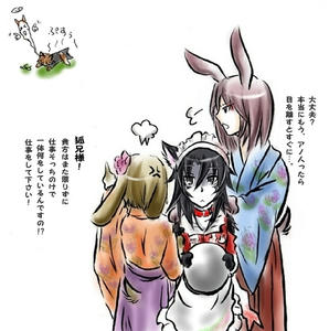 usagi_kitine_01.jpg