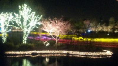 DVC00070ii.JPG