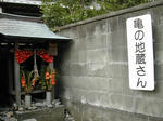 DSCN1753-1.jpg