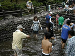 DSCN1874-1.jpg