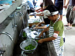 P1000077.jpg