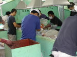 DSCN2102-1.jpg