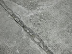 DSCN2171-1.jpg