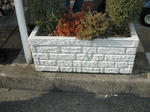 DSCN2175-1.jpg