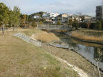DSCN2241-1.jpg