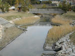 DSCN2243-1.jpg